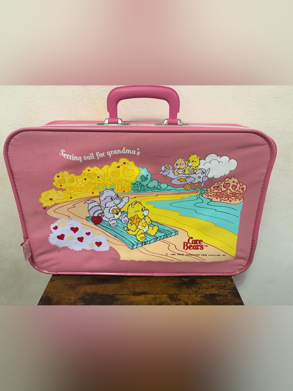 Vintage 1986 Care Bears “Setting sail for grandmas” pink travel suitcase
